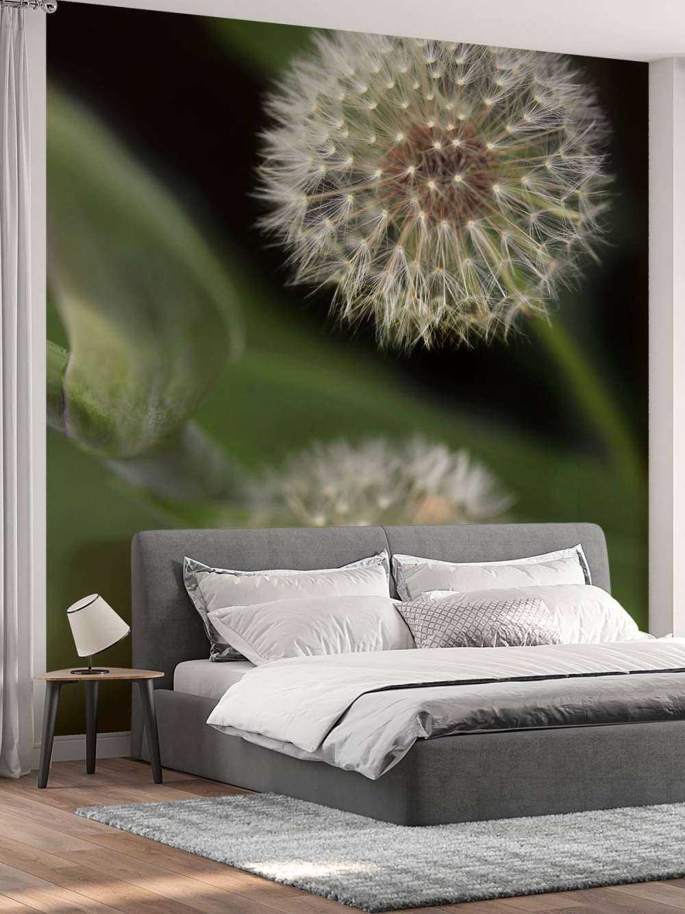 Close-up paardenbloemen