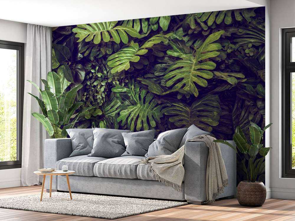 Groene Monstera Bladeren