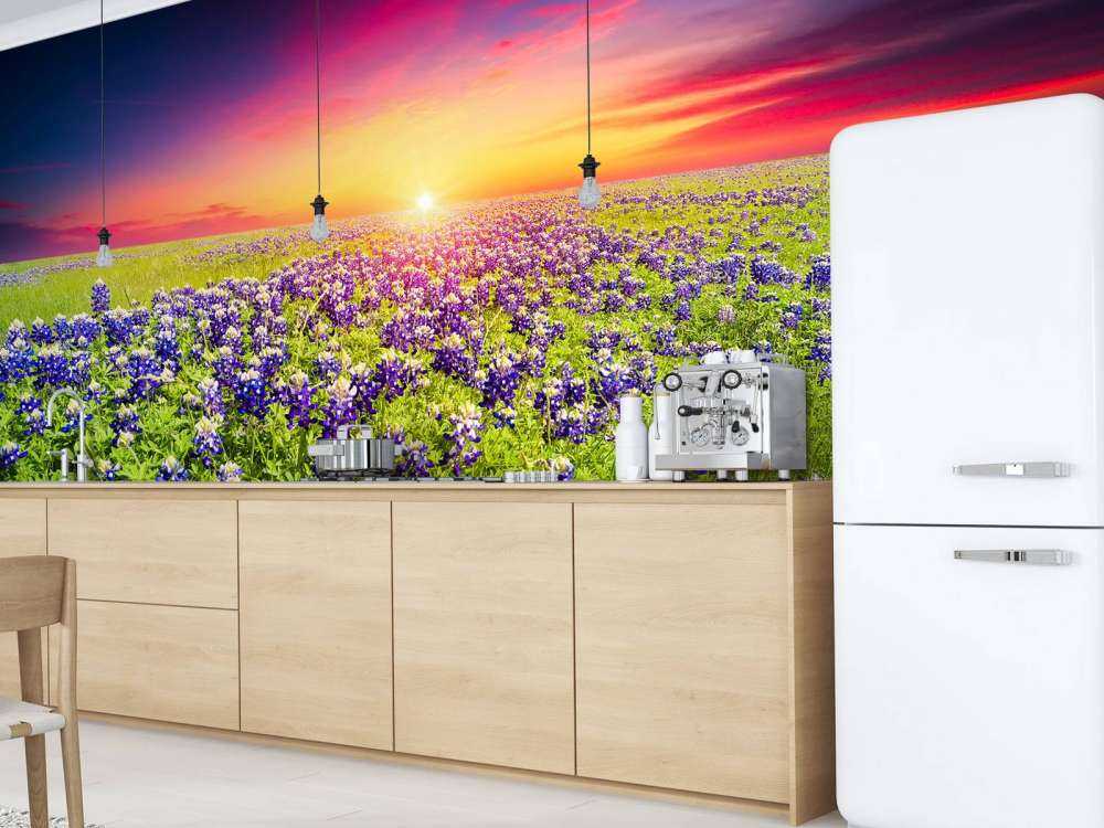 Bluebonnets met mooie Zonsondergang