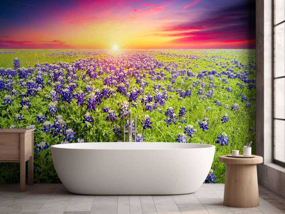 Bluebonnets met mooie Zonsondergang