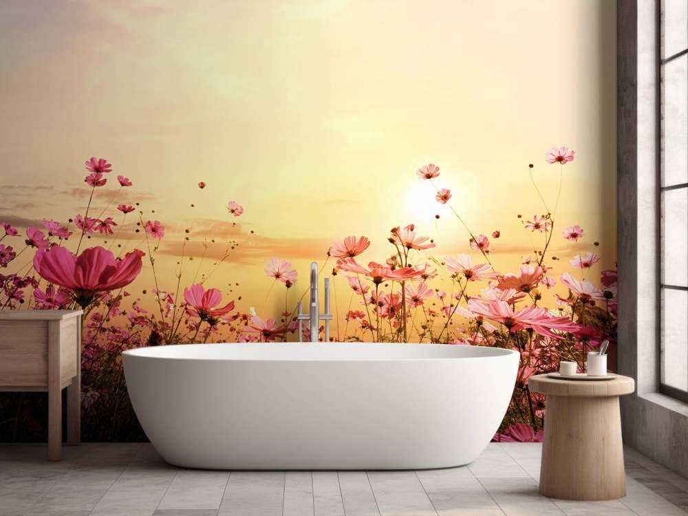 Kosmos Bloem tijdens Zonsondergang