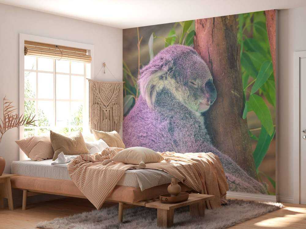 Koala aan het slapen