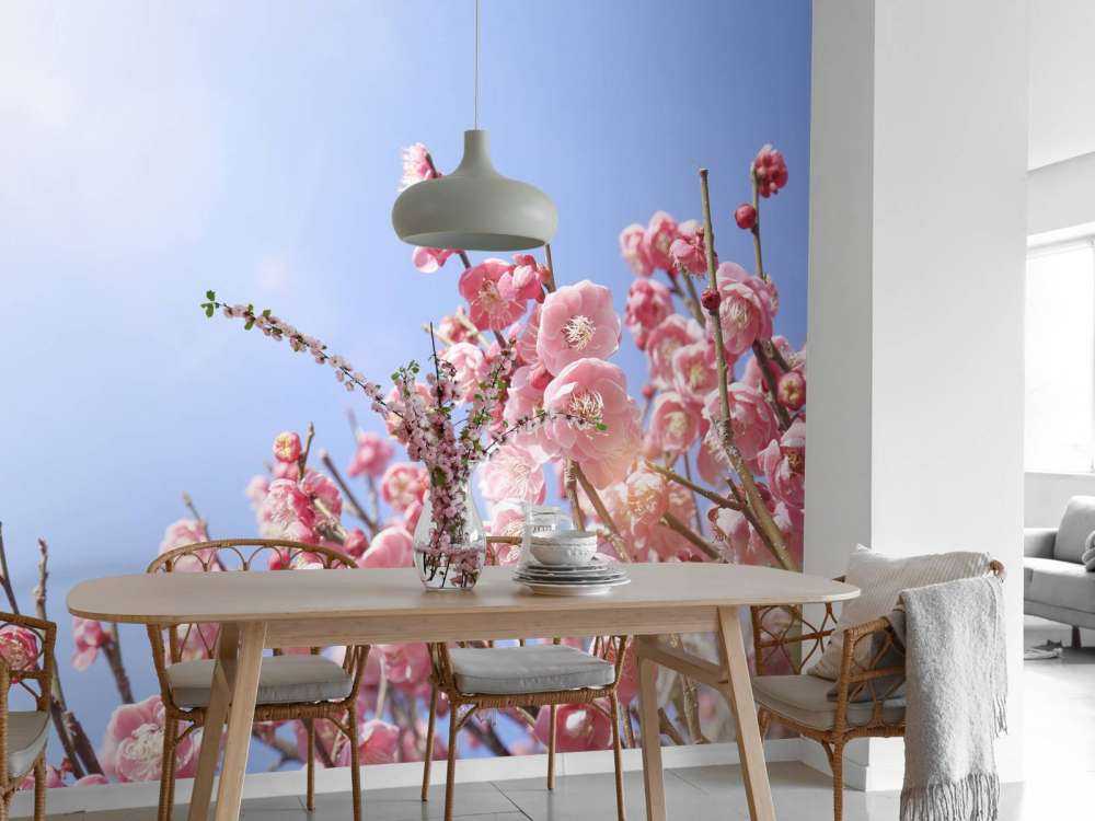 Bloesem bloemen met blauwe lucht