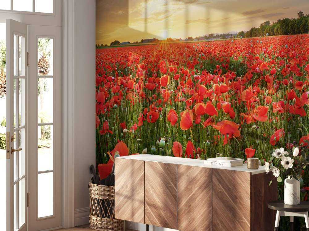 Zonsondergang met klaprozen