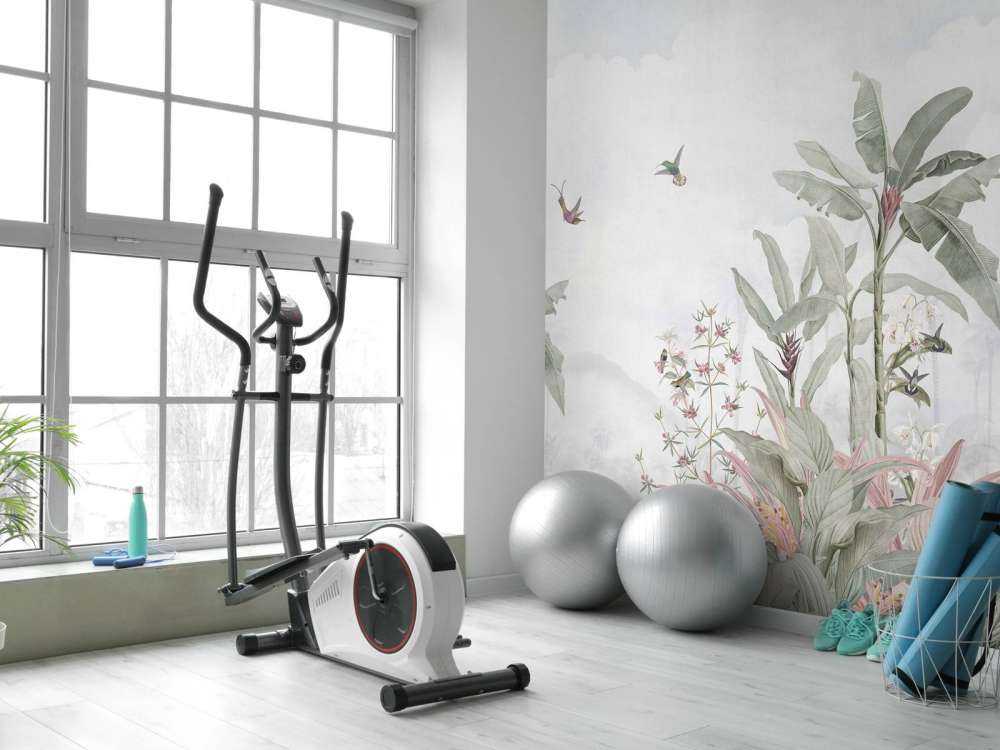 Kolibries tussen tropische bladeren