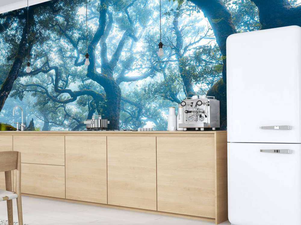 Sprookjesbos in ochtendmist