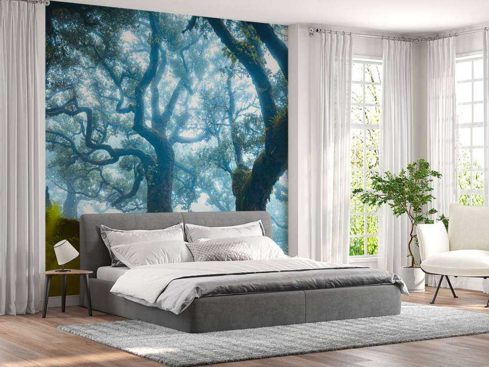 Sprookjesbos in ochtendmist