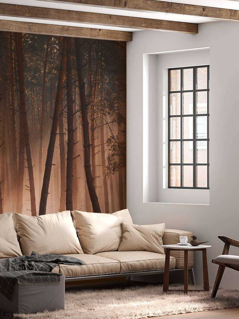 Lichtstralen door het Woud