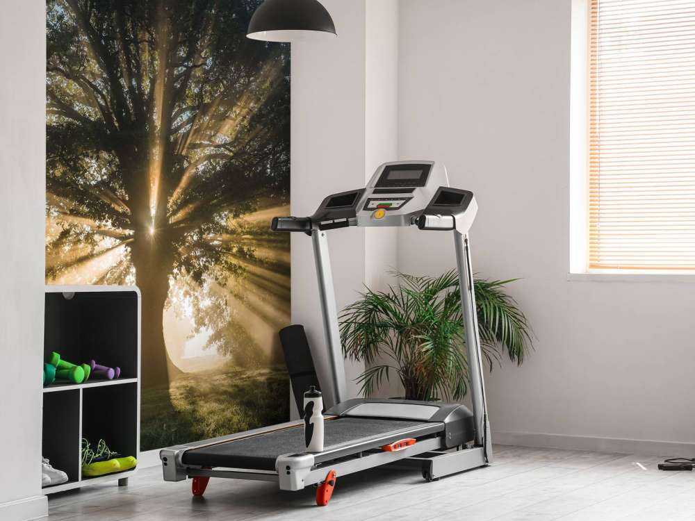 Zonnestralen door de Oude Eik