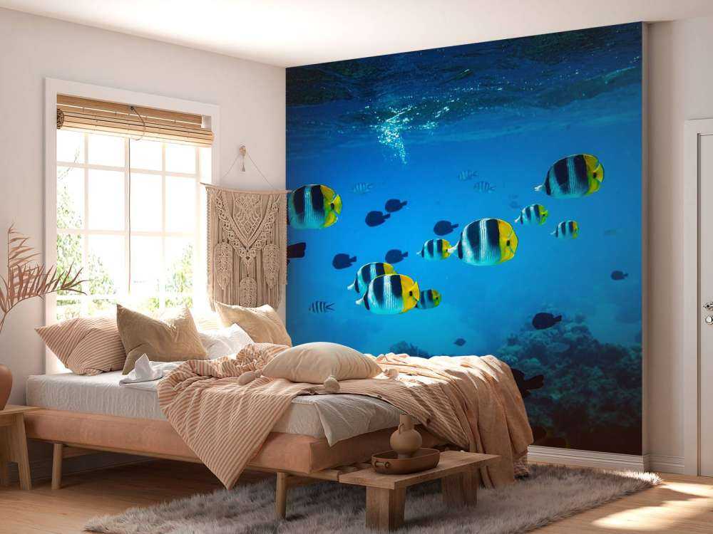 Tropische rifvissen in helderblauw water