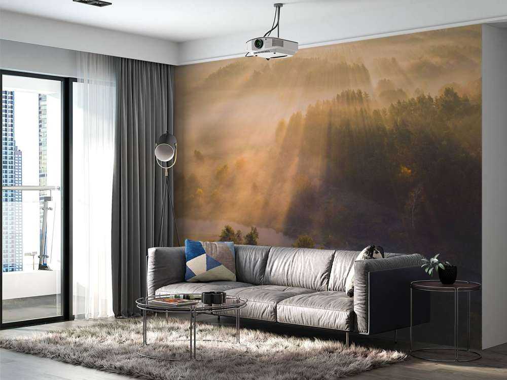 Dromerige Ochtendmist in de Natuur