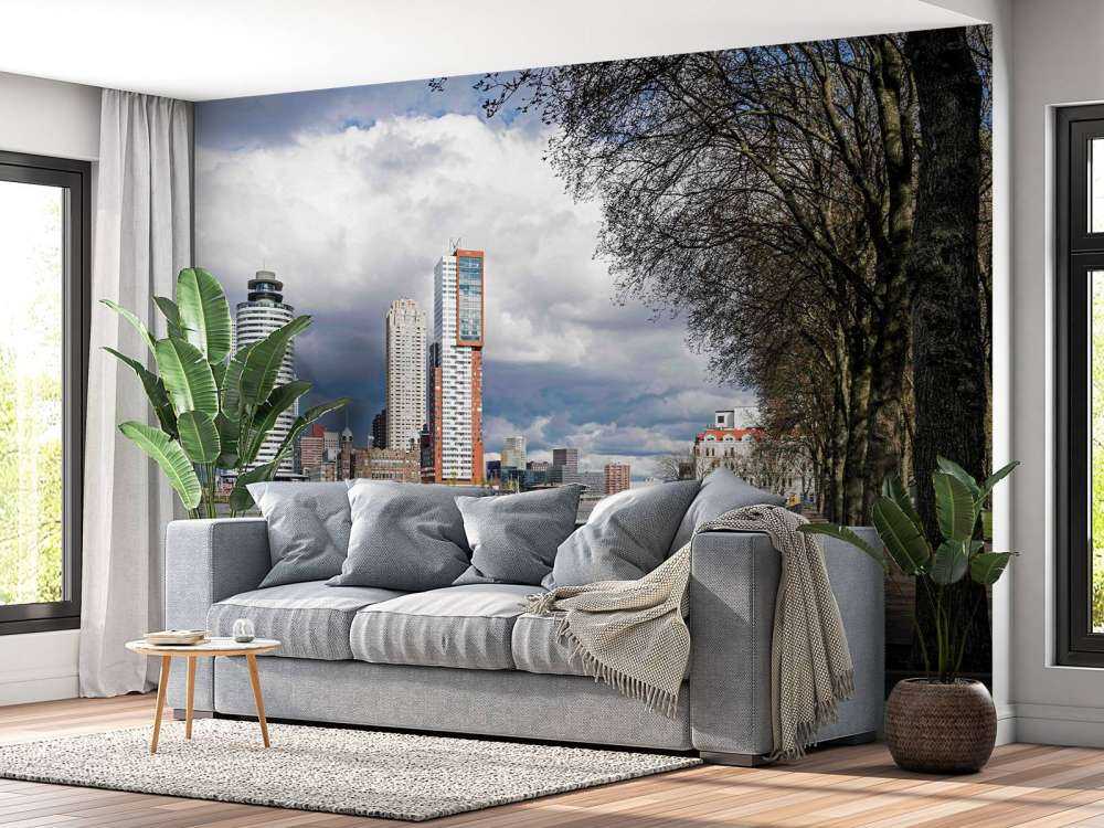 Rotterdamse Skyline vanaf de Kade