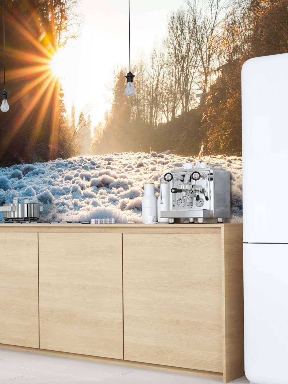 Ijzige ochtend in winterbos