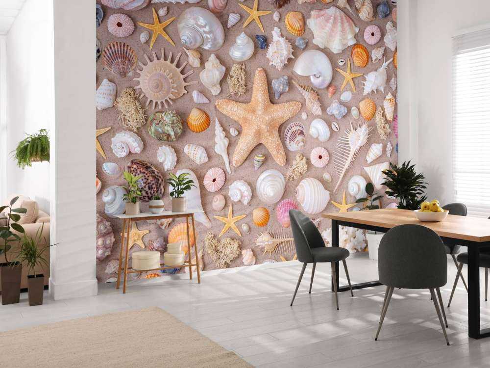 Full frame of collection of seashells