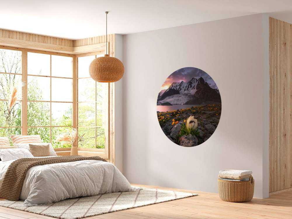 Morning at Saussurea