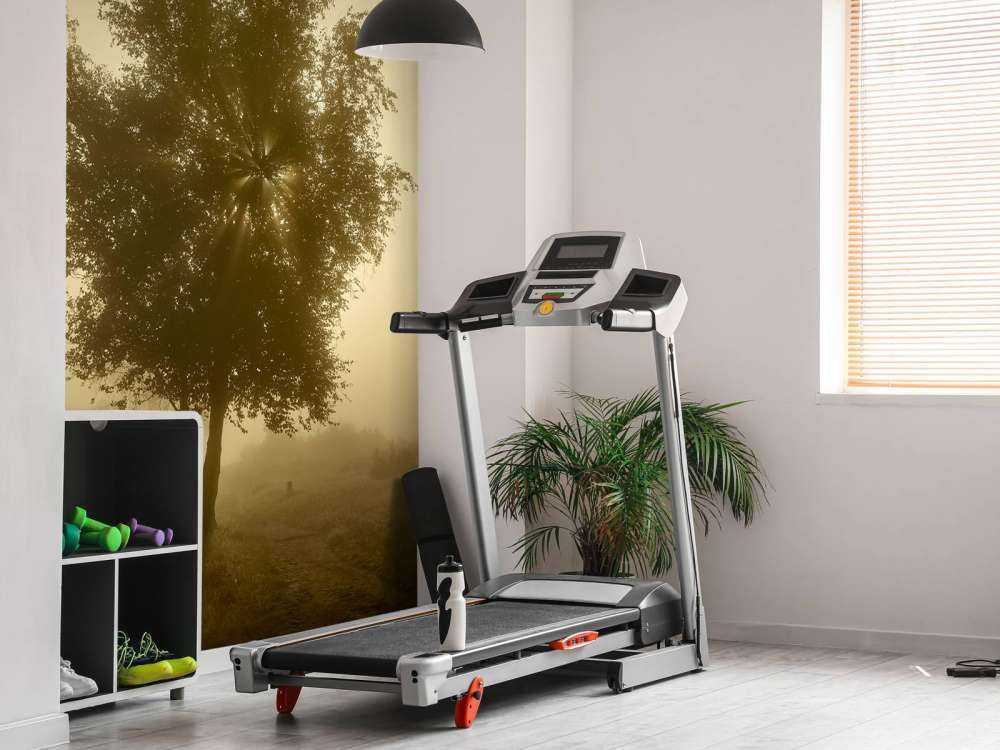 Goudkleurige zonsopkomst