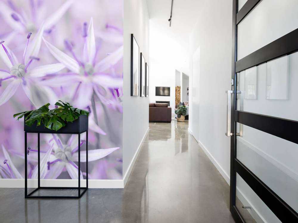 Close-up allium bloemen