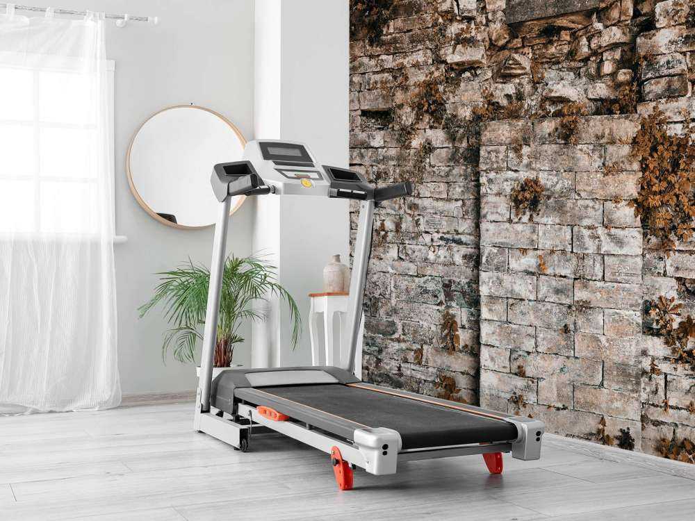 Begroeide muur in de herfst