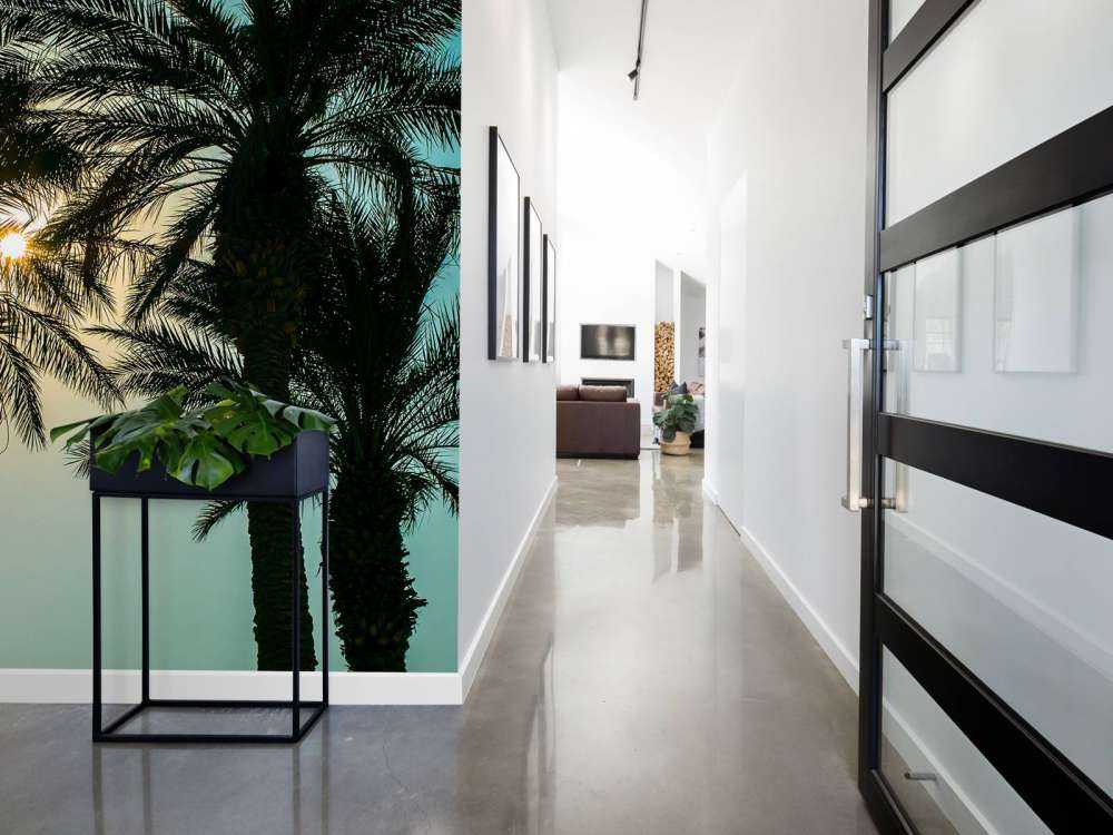 Silhouet van palmbomen