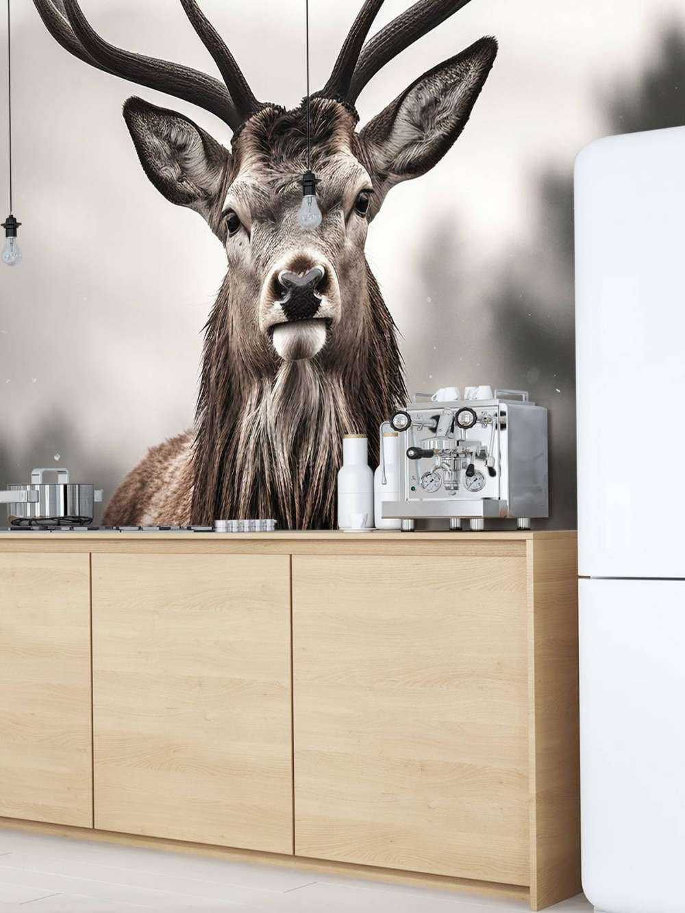 Winterkoning Herteblik