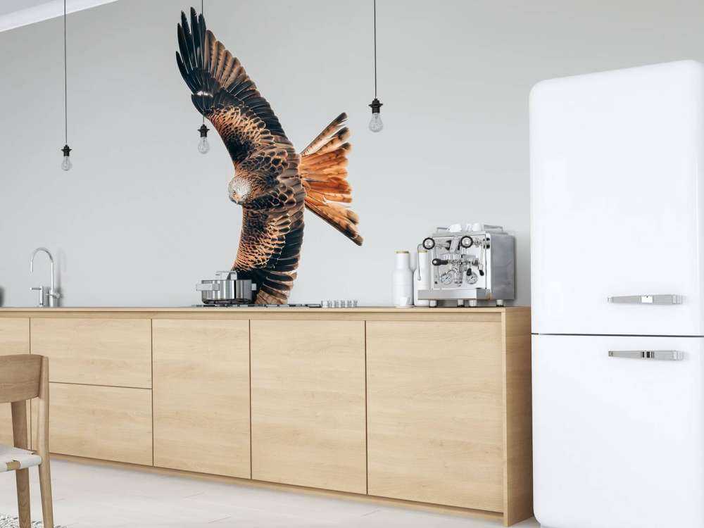 Rode wouw met gespreide vleugels