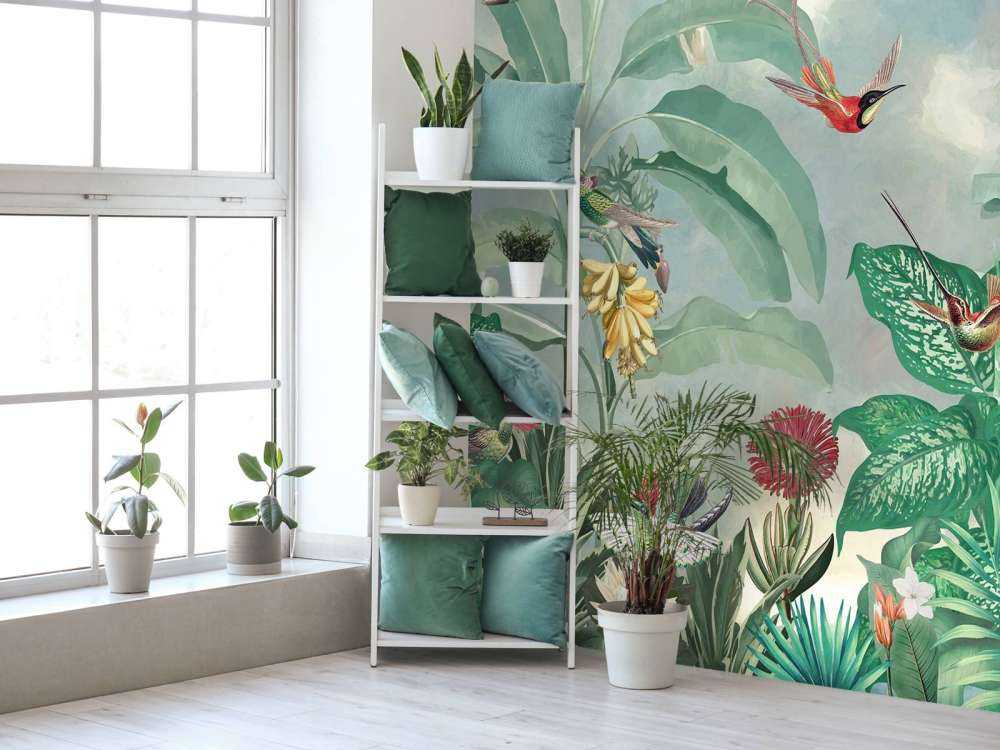 Hummingbird Paradise