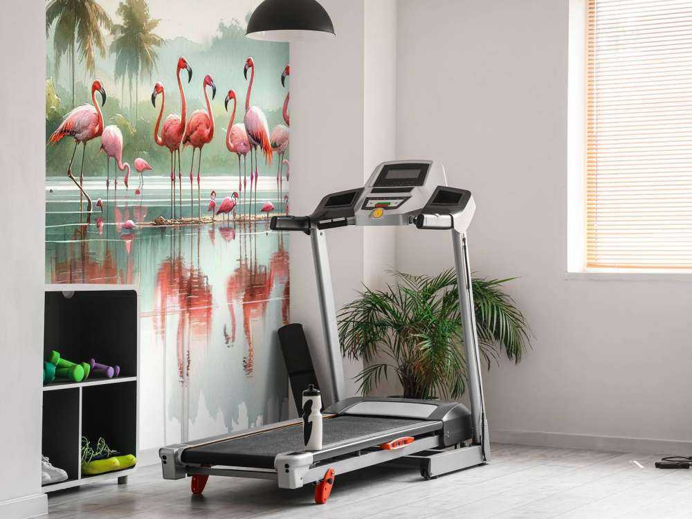 Morning Reflections of Flamingos