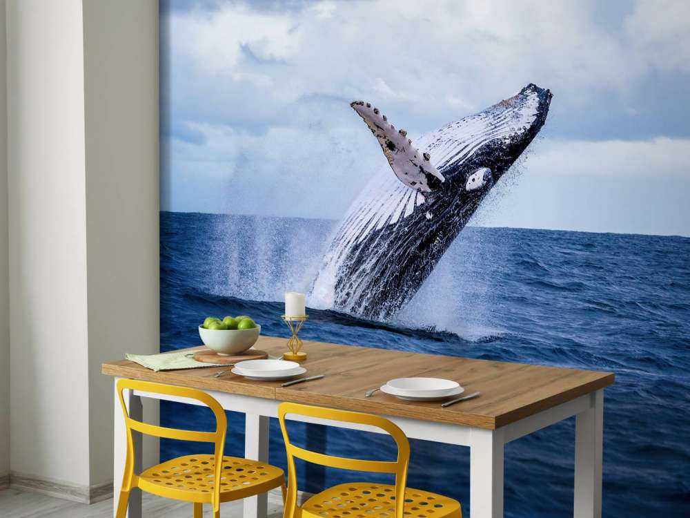 Springende walvis