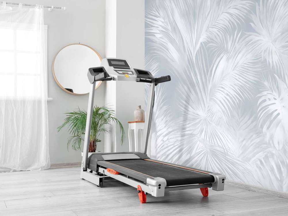 Palm Extravaganza Sky