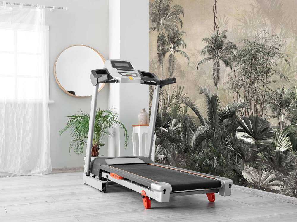 Tropisch Woud in Nevel