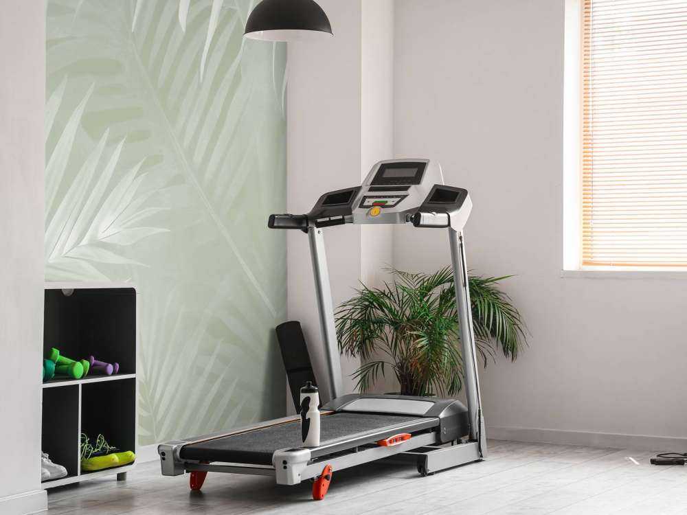 Foggy palm leaves Green