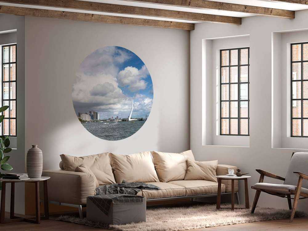 Stadszicht met Erasmusbrug