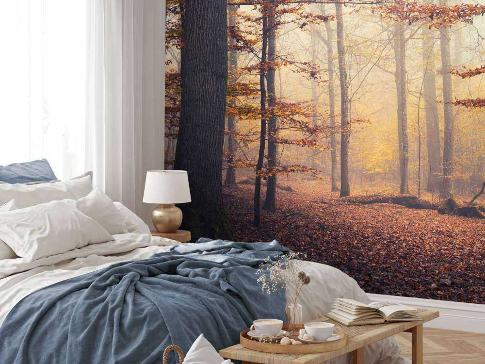 Herfstbos in Gouden Mist