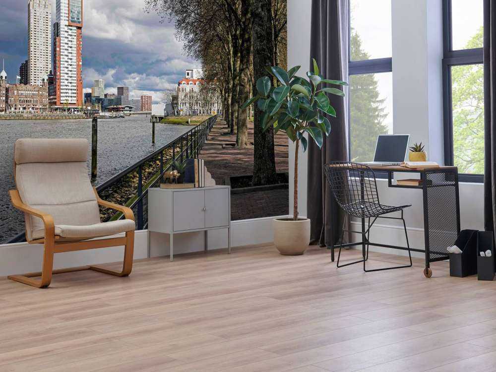 Rotterdamse Skyline vanaf de Kade