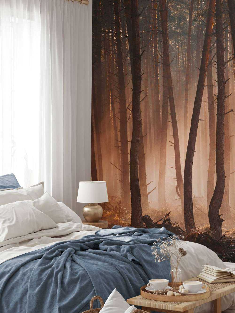 Lichtstralen door het Woud