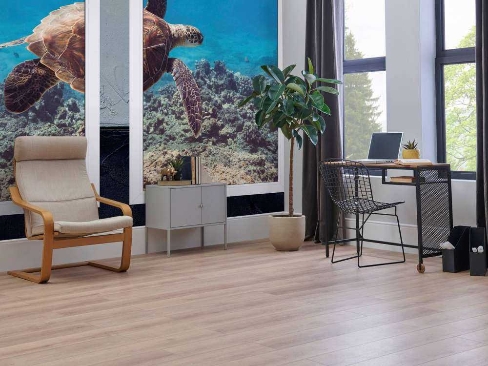 Zeeschildpad boven koraalrif