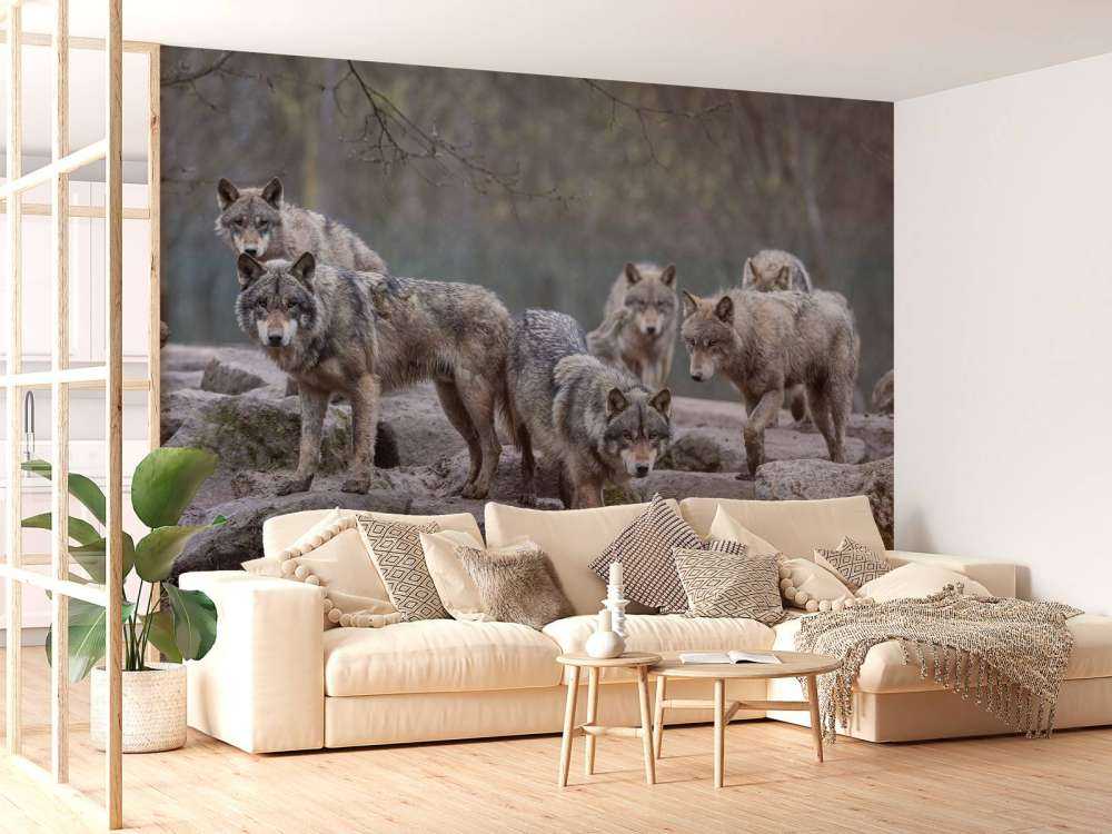 Woudwachters Schemering