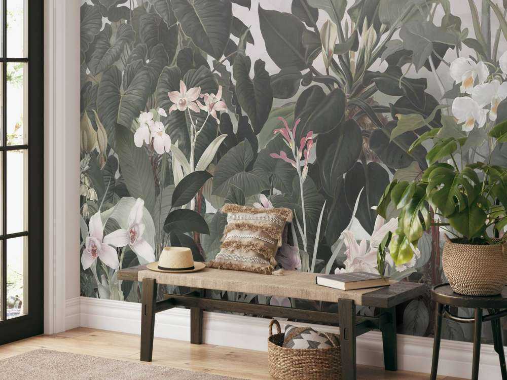 Walking to the Tropic 1