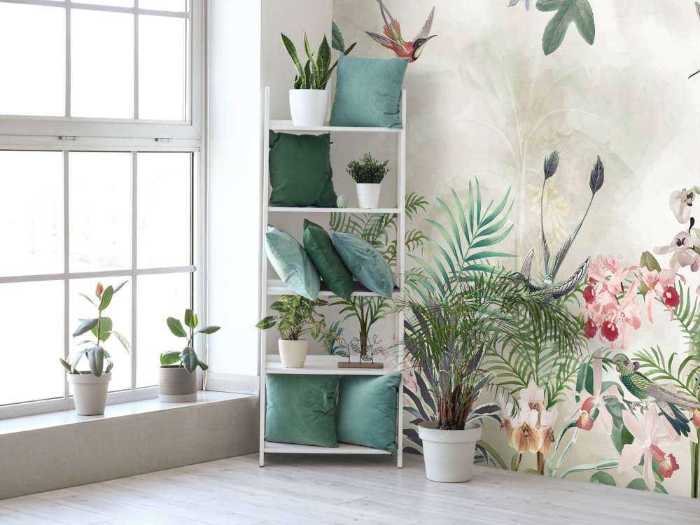 Tropic and Orchids 2