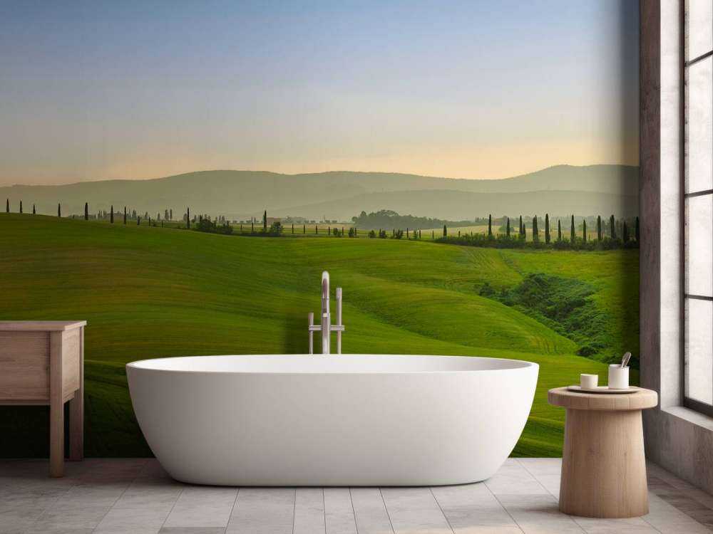 Heuvellandschap Toscane