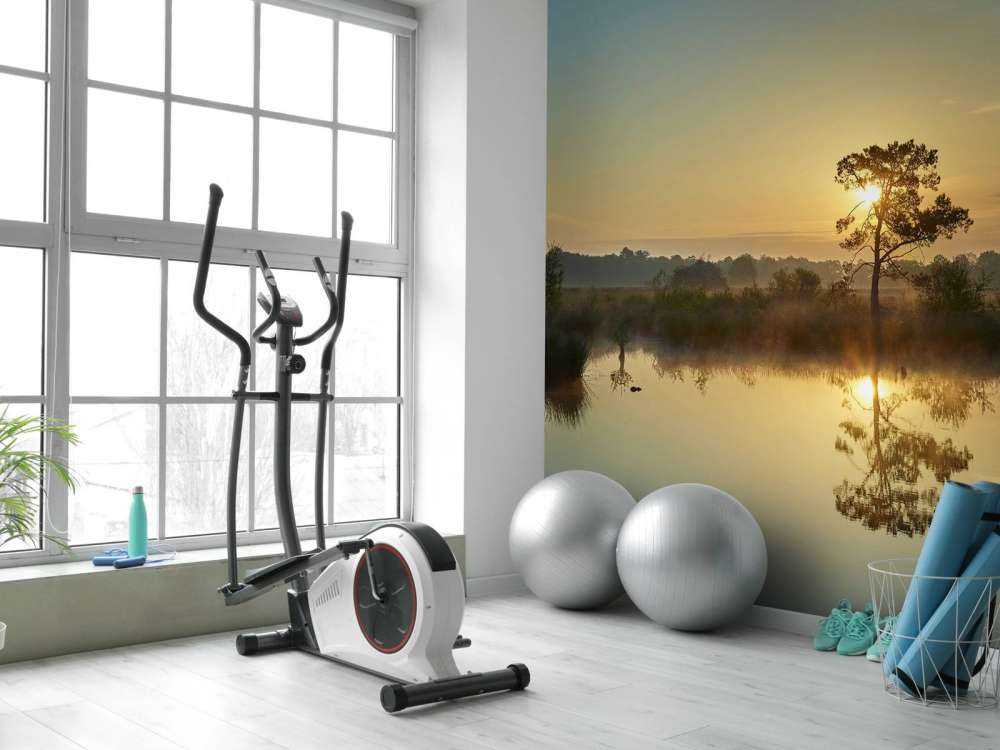 Zonsopkomst bij bosven