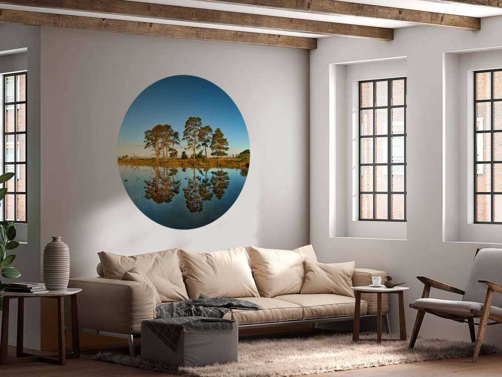 Weerspiegeling in bosmeertje