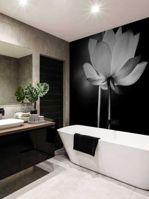 Lotusbloemen zwart-wit