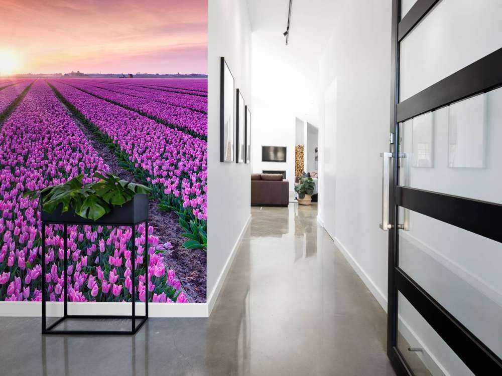 Tulpenveld bij zonsopkomst