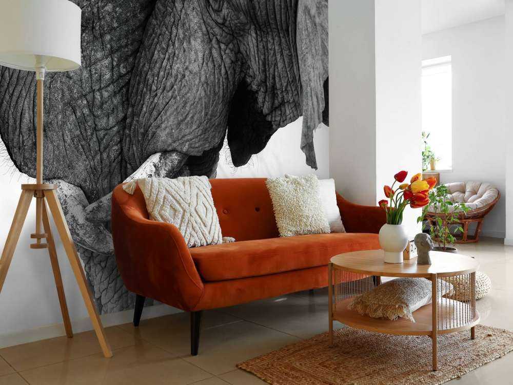 Fotobehang olifanten