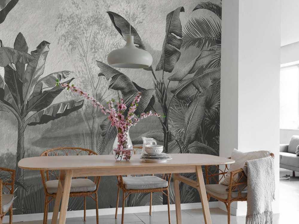 Bananen bomen in zwart-wit