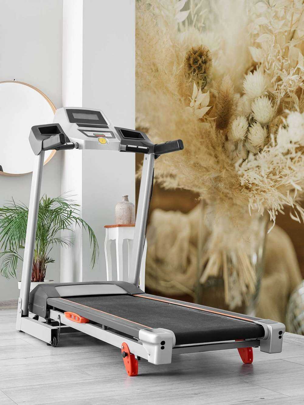 Close-up droogbloemen