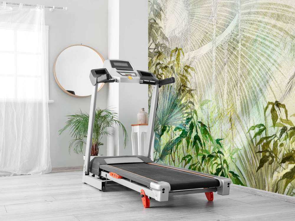 Kas met tropische planten