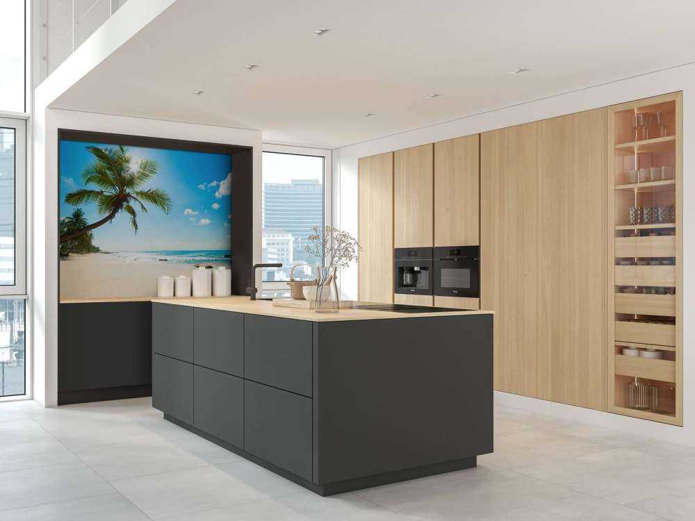 Grote palmboom