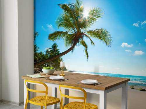 Grote palmboom